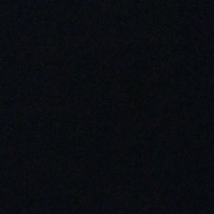 Meet your Posher, Gavin